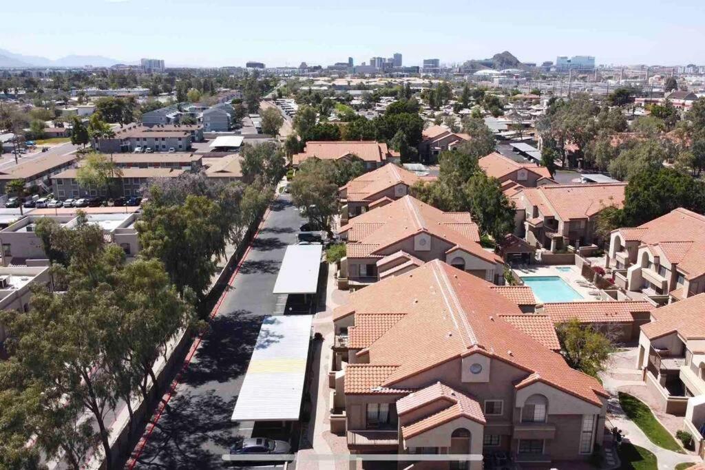 Apartment The Cool Cactus With Pool And Jacuzzi Tempe